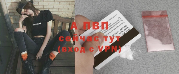 тгк Надым