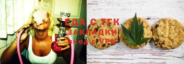 индика Мегион