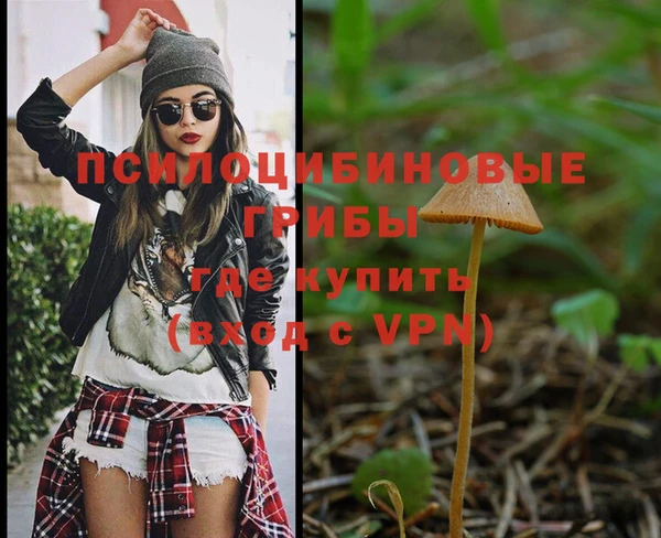 тгк Надым