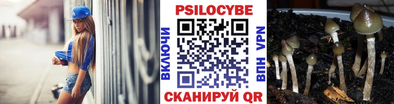 Галлюциногенные грибы мухоморы  blacksprut ССЫЛКА  Инза  сколько стоит 